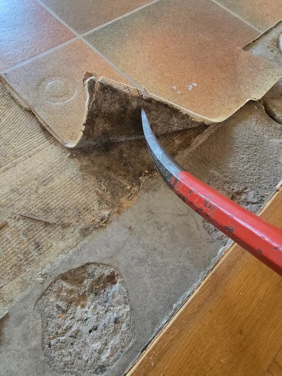 Asbestsanering i Bjärred
